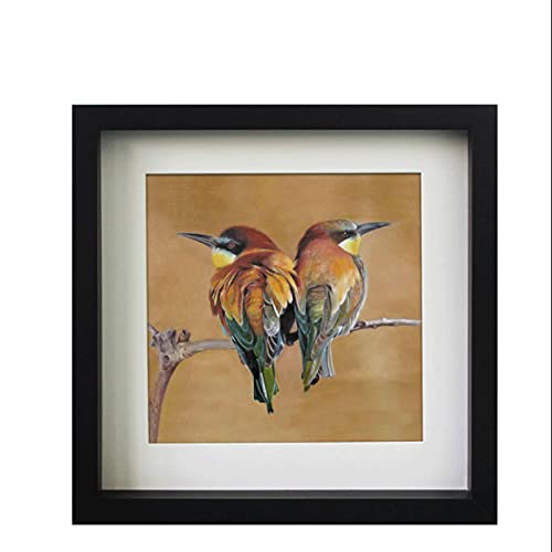 Cފz^3DtHgt[AW{VFGƑ̌̎ʐ^y25X25cmz