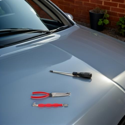 Pinces de Conduite de Carburant Outils pour Connecteurs