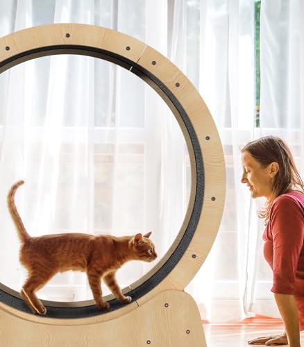 PUPIHOM Roda de corrida de madeira para gatos de 100 cm, roda de exercícios para gatos internos, rod