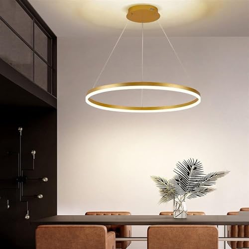 Lustre moderne brossé pour ajuster la lumière sans se déplacer - 3