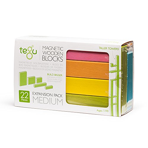 Tegu 22 Piece Magnetic Wooden Building Block Toy Set Expansion Pack Medium Tints (Girl-Boy Educational STEM Gift For Ages 1, 2, 3, 4, 5, 6+ Years Old)
