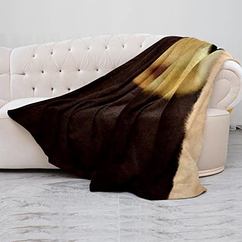 Couverture en peluche contre le froid avec microfibre chaude pour chien et chat - 5