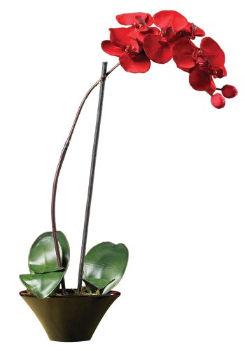 Nearly Natural 4859 Holiday Phalaenopsis Orchid Arrangement, Red