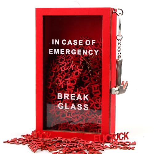 Fucks Gift Box - 200PCS Fucks to Give Funny Gifts for Men Women-Emergency Box with Hammer Fuck Wooden Letter Piece Christmas Birthday Gifts White Elephant Gift Gag Gift Home & Office Desk Decor