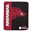 Arkansas Razorbacks