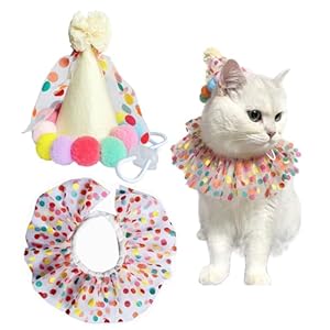 Cat Dog Princess Costumes Puppy Cat Birthday Bandana Scarf and Party Hat Cute Lace Dog Bib Scarf and Christmas Hat Doggy Birthday Party Decorations Set