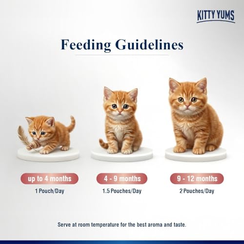 Image of Kitty Yums Kitten Wet Mousse 80g | Salmon | Rich in Protein | Promotes Hydration & Easy to Digest | Grain Free | No Artificial Flavours | Packed with Essential Vitamins & Antioxidants