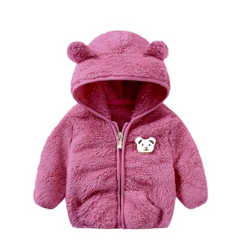 Image of Baby Teddy Bear Ear Soft Flannel Long Sleeve Hoodie & Leggings Unisex All Season Clothing Set For Baby Boys And Baby Girls