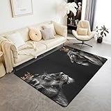 Feelyou Lion Living Room Rugs 3x5 Boys Girls Gold Queen and King Crown Print...