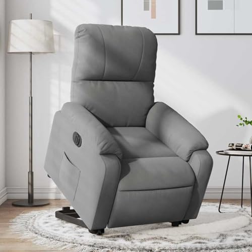 Fasba Sillón Reclinable Eléctrico para Mayores con Elevación, Cómodo Asiento de Microfibra, Color Gris Oscuro