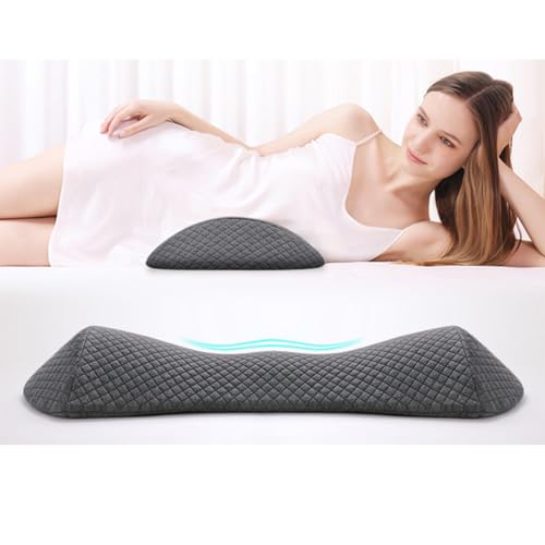 Memory Foam Pillow for Back Support and Pain Relief