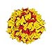 Smarty Stop Gummy Chicken Feet Candy Halloween Style (1 Pound (Pack Of 1))