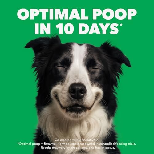 IAMS Proactive Health Minichunks Dry Dog Food – Crunchy Kibble for Adult Dogs – Chicken & Whole Grain Recipe – 1.50KG (3.3LB) Bag