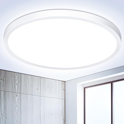 OUILA Plafon LED Techo Redondo Lámpara de Techo Blanco Frio 6500K Ø22CM 18W 1800LM Luz de Techo Moderna Lamparas de Dormitorio de Techo Salon, Cocina, Baño, Pasillo, Sala