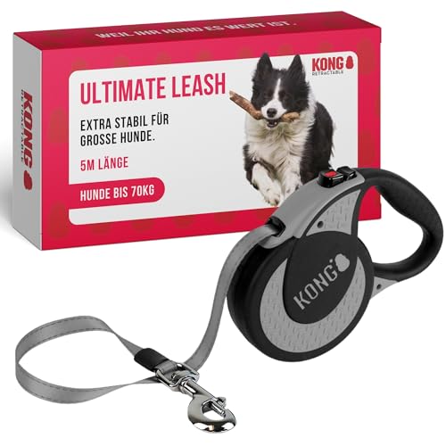 KONG Rollleine in 5m Länge I Hundeleine für große Starke Hunde bis 70kg I Größe XL I Lange Hundeleine mit Break & Lock System in grau I Komfortable Hunde Leine mit Softgriff & reflektierendem Gurt
