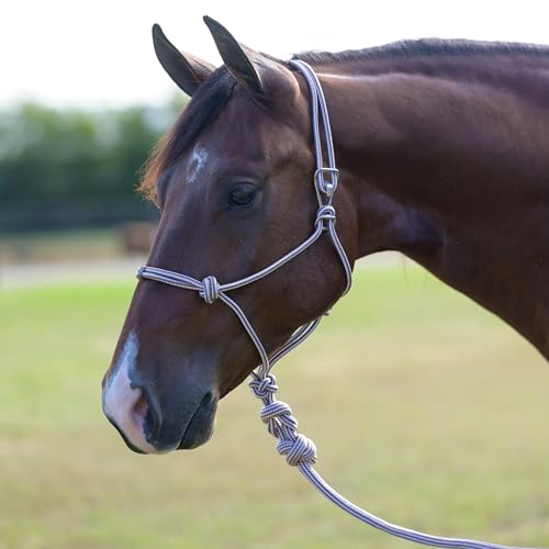 Professional's Choice Easy ON Rope Halter W/Lead | Rust