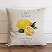 Ol322ay Housse de Coussin botanique Citron 2 taies d'oreiller Florales Herbes, décoration de la Maison, été, Jardin