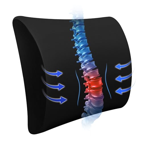 SPRING SEAON Cooling Memory Foam Lumbar Pillow