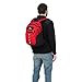 High Sierra Opie Backpack, Crimson/Black, 18.5 x 12.5 x 8.5-Inch