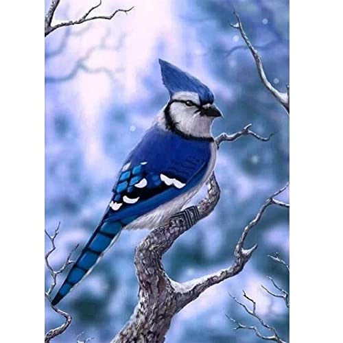 Diamond Painting Oiseau 5D pour Sublimer Votre Salon avec un Tableau en Mosaïque