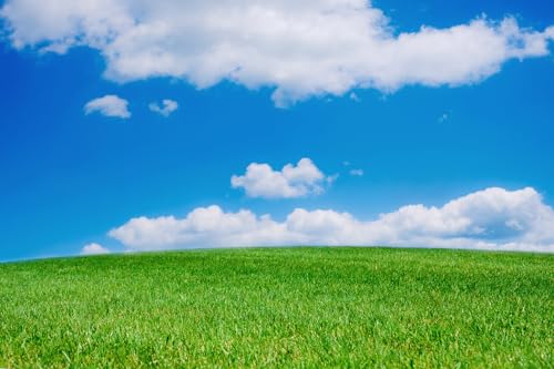 Fondo fotográfico verde 7x5 pies con nubes blancas y cielo azul miniatura 1
