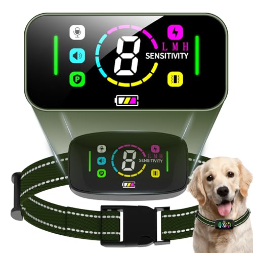 2025N ʖih~  ^p y gsgp SAI ʖih~  IP67h USB[d 8iK̊x+4̃[hZT[{戵iO[j