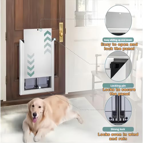 MIDUOLAI Hundeklappe für große Hunde, Aluminium Haustierklappe Mit Paneelen, HundetüR Mit Automatisch SchließEnden Magnetklappen, Einschiebbares Paneel & SicherheitsschlöSser,Silber,44 * 35cm