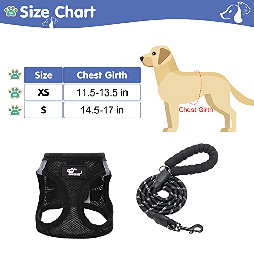 Breathable Air Mesh Dog Harness with Reflective Leash, Adjustable No Pull Step in Vest Harness for Small Dogs Puppies… - Image 2