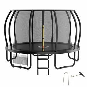 Zelsius Trampolin Schwarz Ø 366 cm für den Outdoor-Bereich | Trampolin Outdoor für maximal 150 kg, Gartentrampolin mit Sicherheitsnetz, Leiter und Schuhbeutel | Trampolin für Sport und Freizeit