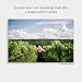 Fujifilm QuickSnap Flash 400 Disposable 35mm Camera with PixiBytes Microfiber Cleaning Cloth... (4 Packs (2 Twin Pack))