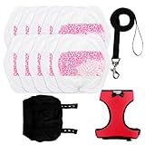 Yesito Adjustable Chicken Harness Diaper (5.4ft Leash) – Breathable & Washable Secure Training for Hens, Ducks & Chicks | Outdoor Walking & Discipline Solution