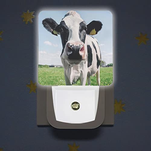 Acozuhse Led Night Lights Lamp With Dusk To Dawn Sensor, Cows On The Meadow Night Lamp, Night Lights Plug Into Wall For Kids Room, Bedroom, Bathroom, Kitchen, Hallway #TOP2