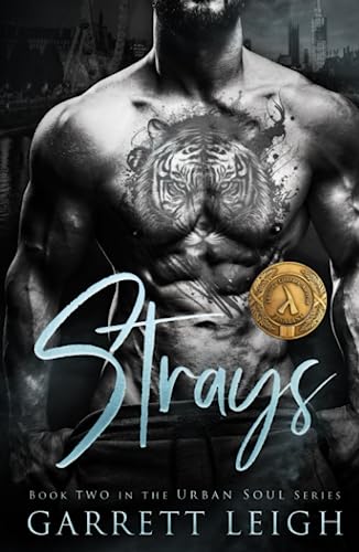 Strays: Angsty Gay Romance (Urban Soul)