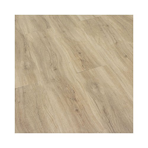 TOMOYASU IN_P v~A\tg 1 eBo[  tA^C u ؖڒ C-F-3