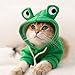 Frosch Form Haustierkostüm, Niedlicher Frosch Form Pullover, Hundekostüme Für Haustiere, Hunde Hoodie, Winter Grün Hundekleidung, für Halloween Cosplay, Geeignet für 6–9 Pfund, Grün, M