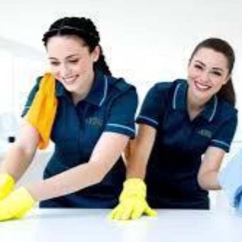 『Lily Maids』のカバーアート