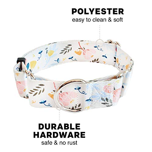 Downtown Pet Supply  Martingale Collar for Dogs  Dog Training Collar  Big Wide  Thick Dog Collar  Escapeproof Weatherproof Durable and Comfortable  Floral  Medium Dog Collar  Cucciolini Doodles Downtown pet supply  martingale collar for dogs  dog training collar  big wide  thick dog collar  escape proof weatherproof durable and comfortable  floral  medium dog collar   cucciolini doodles