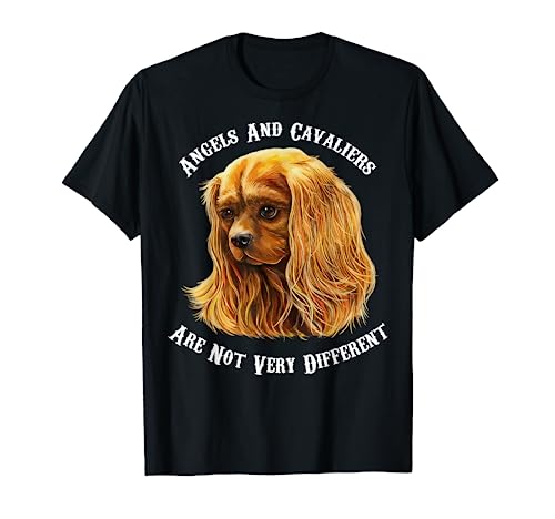 King Charles Spaniel - Angeli e Cavalier non sono molto diversi, Cavalier King Charles Spaniel