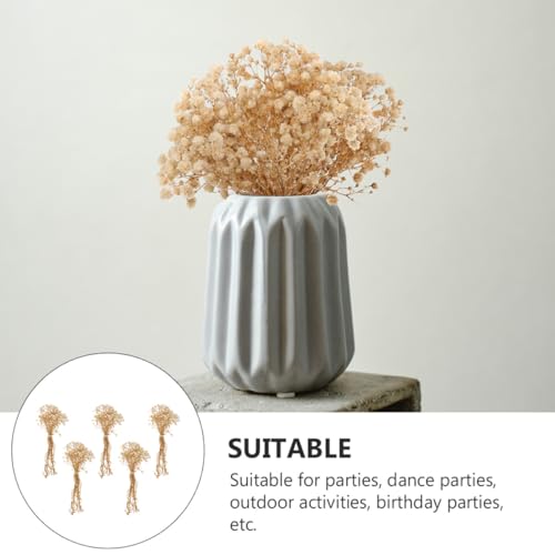 Set de 5 ramos naturales de flor seca gypsophila 12cm miniatura 7
