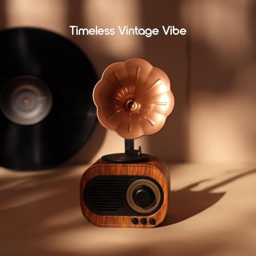 Image of Bigsmall Retro & Vintage Gramophone Bluetooth Speakers Combo | Premium Portable Decorative Speakers with Hands-Free Calling, Rich Sound, 6-Hour Battery, Original Design & 1-Year Warranty