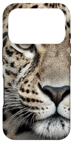 �q���E�̊� ���A���ȓ����̃O���t�B�b�N �X�}�z�P�[�X iPhone 17 Pro �p