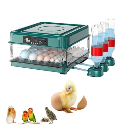 孵卵器」の人気商品一覧 | 安い商品を通販サイトから探す - 価格.com