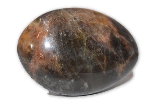 Nature's Enlightenment 259g Black Moonstone -