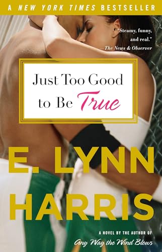 Just Too Good to Be True: A Novel