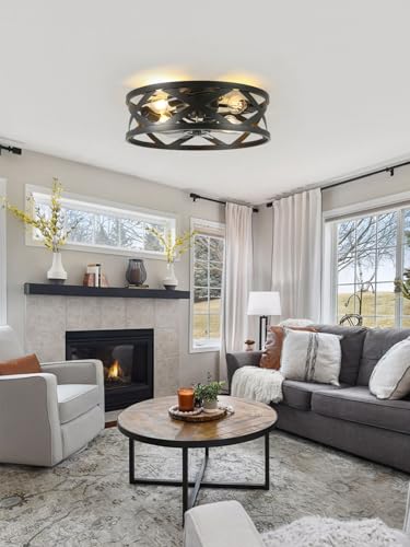 Image of 20 Inch Caged Ceiling Fan Light with Remote, Black Flush Mount Bladeless
