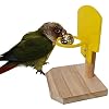 Knowled Vogel-baseball-speelgoed, vogel kauwbal foraging speelgoed, parrot activiteit speelgoed, vogel training gym…