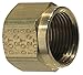 Tramec Sloan Tube Nut, Compression, Brass, 150psi