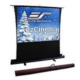 Elite Screens ezCinema...image