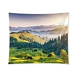 タペストリー ヒルズ インド 自然 コダイカナル 木 風景 多機能 布部屋飾り 飾り ァブリック装飾用品 部屋 窓カーテン 新居祝い 個性ギフト (60X50 Inch） 150x100cm