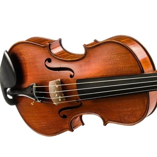 Professional Violin European Workshop Violin Warm Brown Color Mountains Tonewood Ebony Accessories